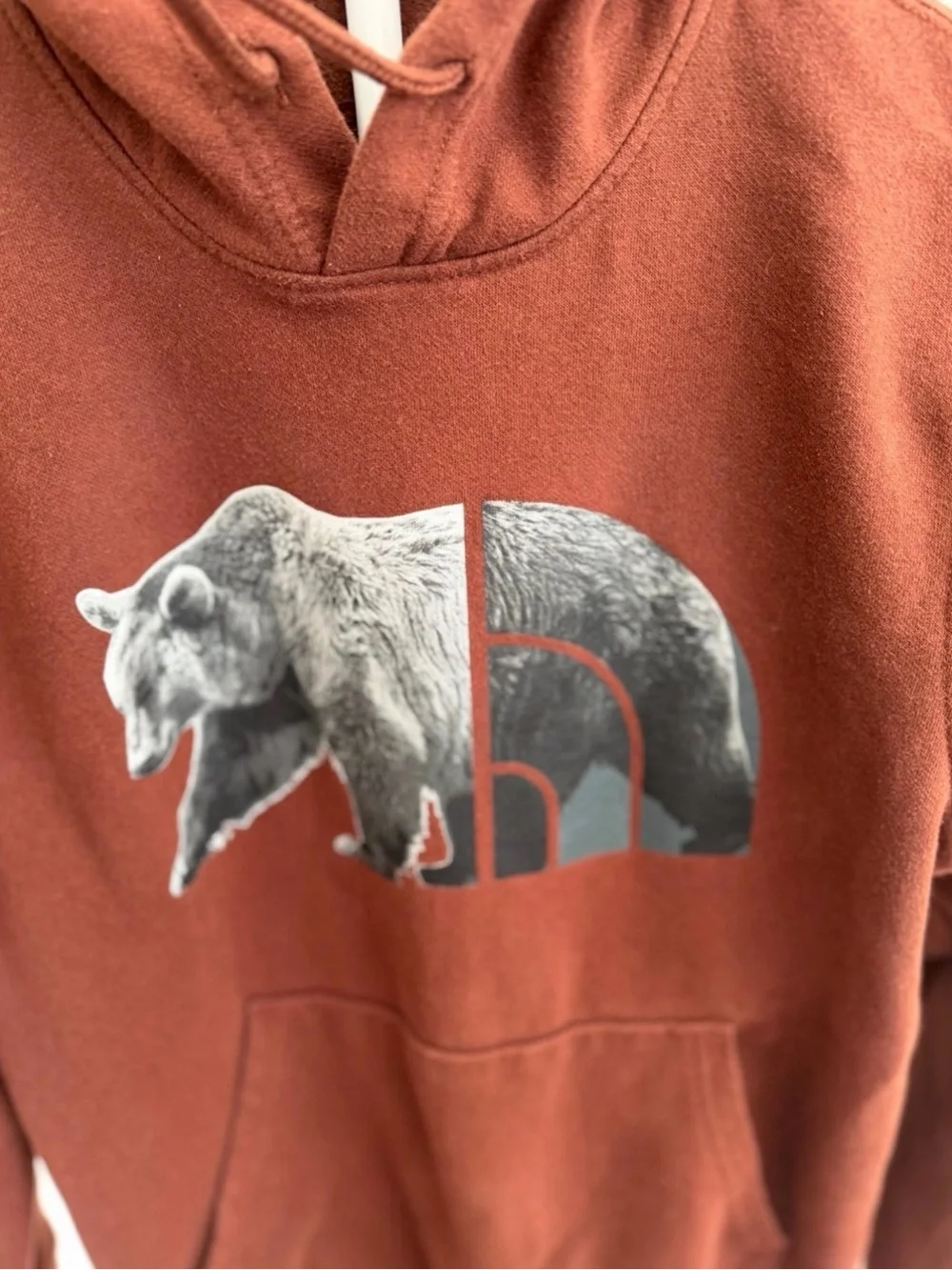 The North Face Men's Rust Brown Bear Graphic Hoodie